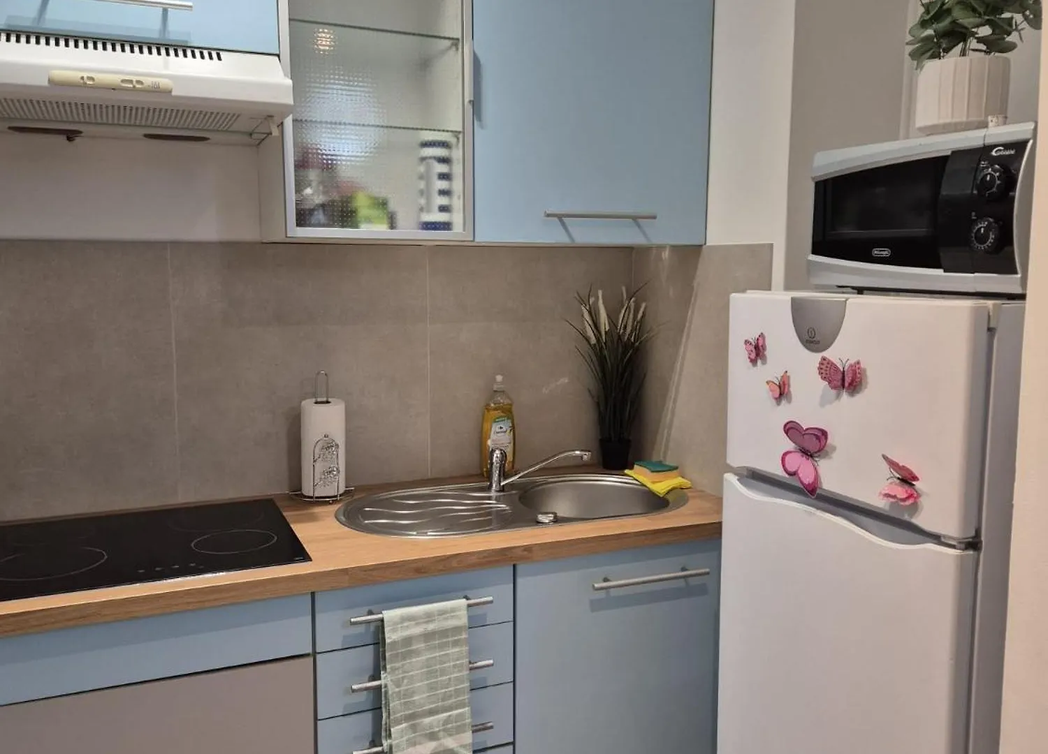 Apartament En Bord De Mer Nice Apartment